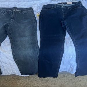 Brand new womens plus size designer jeans